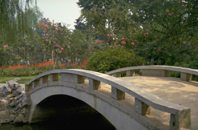 Bridge in Garden